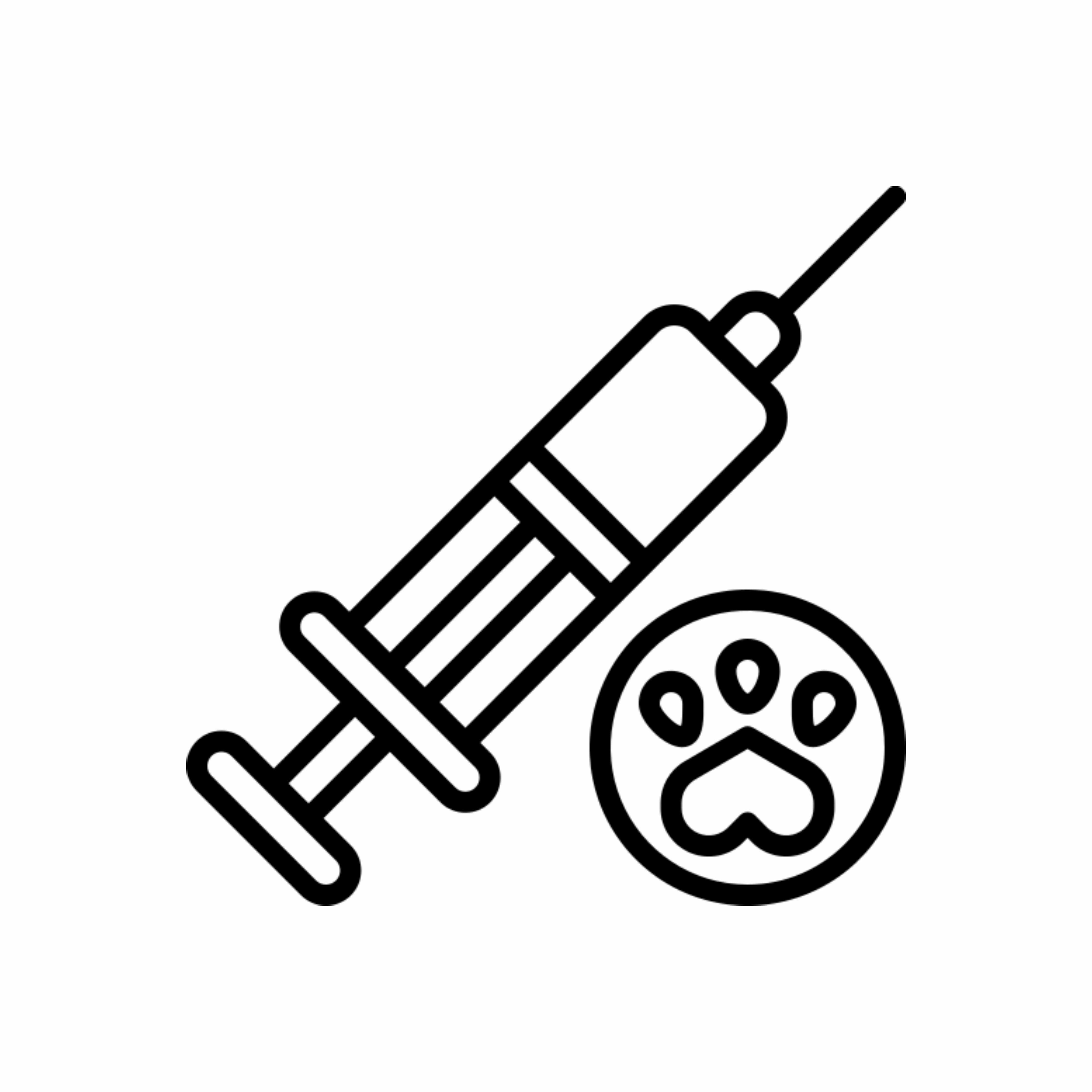 Veterinary-Dry-Injections.jpg